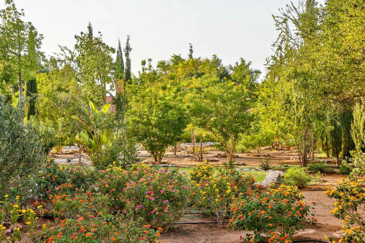 Maison Kasba Bonheur & Bien Etre Emma & Gilles Essaouira Buitenkant foto